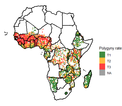 polygyny in africa